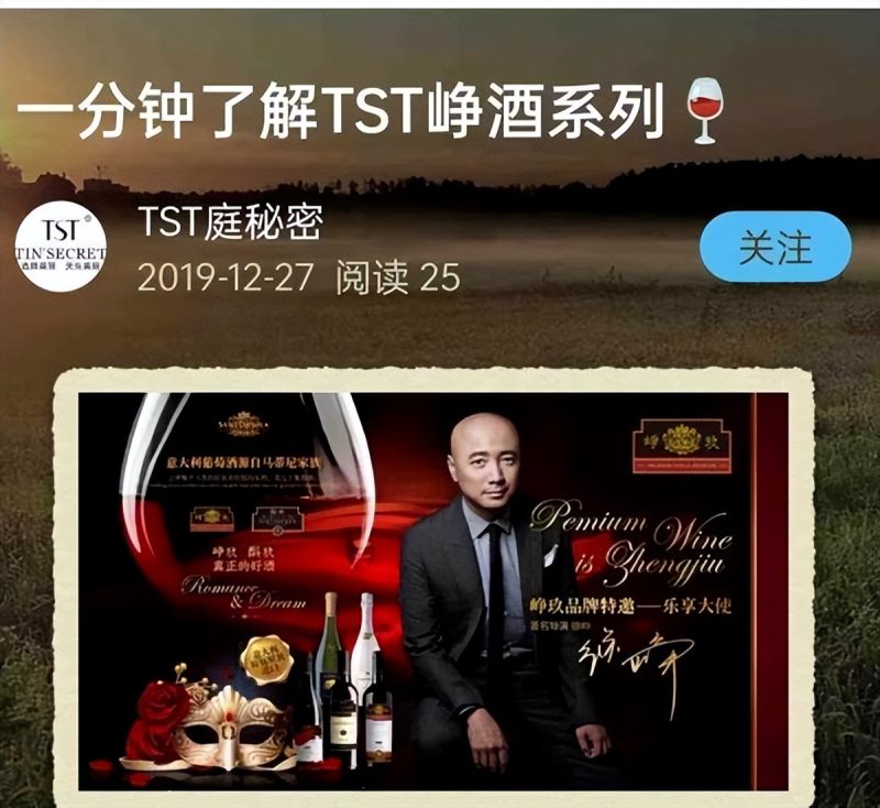 徐峥被曝是TST公司红酒代言人，《穿越时空的爱恋》会被下架吗？-1