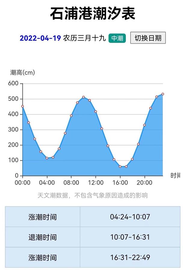 浙江象山搁浅鲸鱼是一头雄性抹香鲸，救援人员：其身体状态较差-2