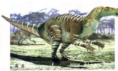 恐龙有多少种类（远古时代各类恐龙图鉴）-13