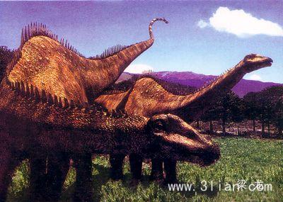 恐龙有多少种类（远古时代各类恐龙图鉴）-16