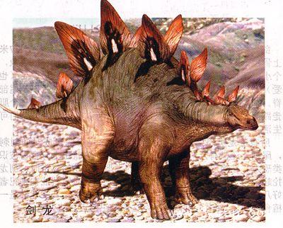 恐龙有多少种类（远古时代各类恐龙图鉴）-5