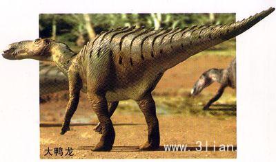 恐龙有多少种类（远古时代各类恐龙图鉴）-7