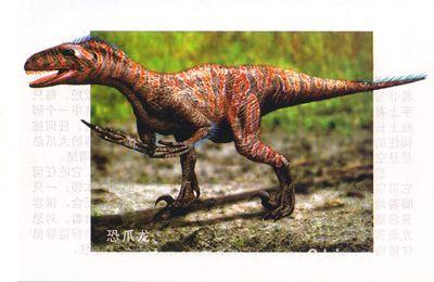 恐龙有多少种类（远古时代各类恐龙图鉴）-11