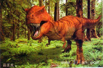 恐龙有多少种类（远古时代各类恐龙图鉴）-1