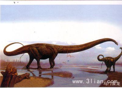 恐龙有多少种类（远古时代各类恐龙图鉴）-14
