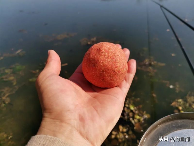 野钓鲫鱼什么饵料最好（专钓野生大鲫鱼配方介绍）-4