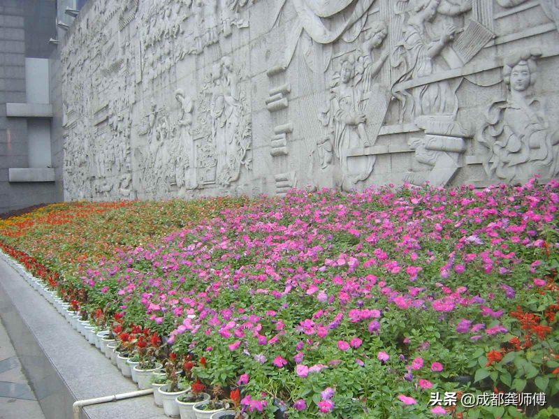 春熙路在哪个区（重庆春熙路是在哪个区）-3