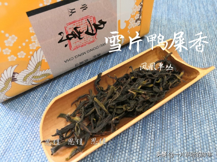 “鸭屎香”为何叫做鸭屎香？