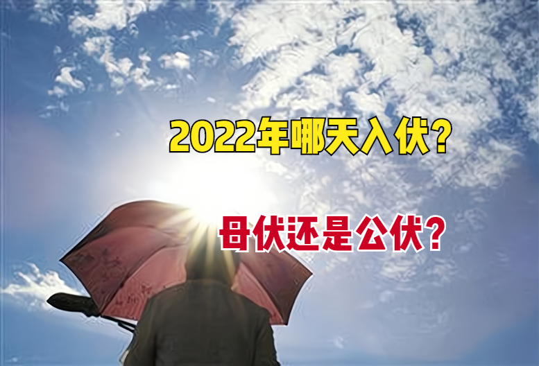 2022年哪天入伏？俗语“公伏凶，母伏爽”，今年是公伏还是母伏？