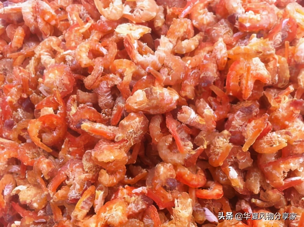 每日风物：金钩海米，用长岛鹰爪虾制成的天然鲜味调料品