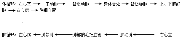 初一下册生物必背知识点有哪些（人教版初一下册生物知识点总结归纳）-11