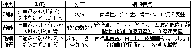 初一下册生物必背知识点有哪些（人教版初一下册生物知识点总结归纳）-10