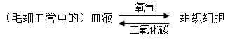 初一下册生物必背知识点有哪些（人教版初一下册生物知识点总结归纳）-6