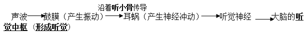 初一下册生物必背知识点有哪些（人教版初一下册生物知识点总结归纳）-14