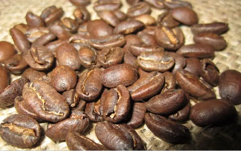 咖啡豆口味都有哪些（常见7种的咖啡豆的种类及口味详细介绍）-7