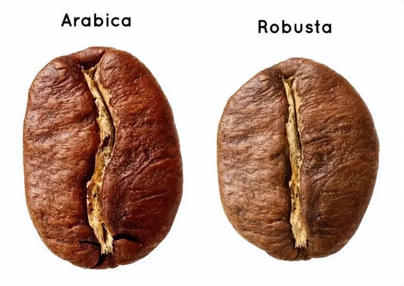咖啡豆口味都有哪些（常见7种的咖啡豆的种类及口味详细介绍）-3