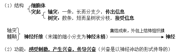 初一下册生物必背知识点有哪些（人教版初一下册生物知识点总结归纳）-16