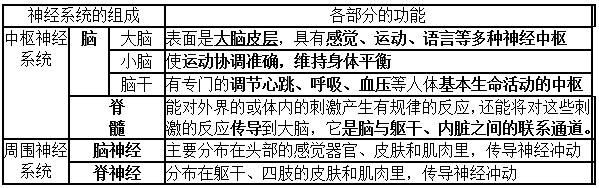 初一下册生物必背知识点有哪些（人教版初一下册生物知识点总结归纳）-15