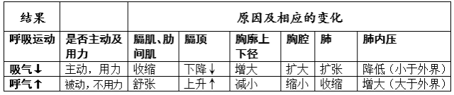 初一下册生物必背知识点有哪些（人教版初一下册生物知识点总结归纳）-5