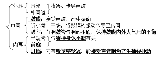 初一下册生物必背知识点有哪些（人教版初一下册生物知识点总结归纳）-13