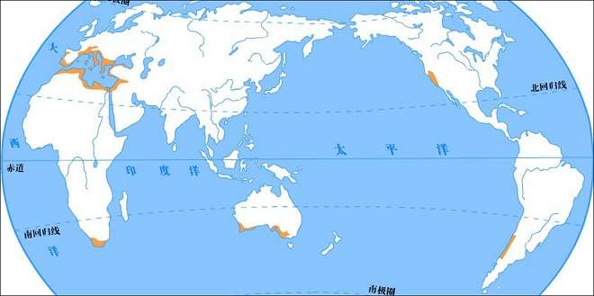 六大洲都有分布的地中海气候，成世界上分布最为广泛的气候类型