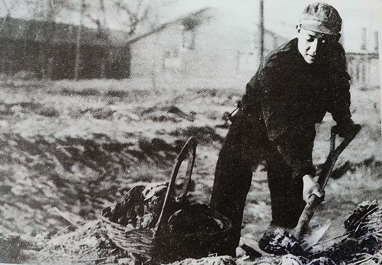 1962年雷锋因公牺牲，41年后鉴定人披露事故发生细节，让人心疼