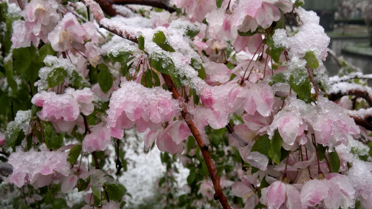 窦娥冤，她死前为何发下毒誓：血溅白练、六月飞雪、大旱三年？