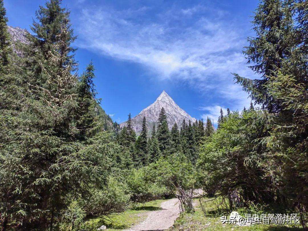 四姑娘山哪些景点必去（外地人旅游必看8月四姑娘山旅游攻略）