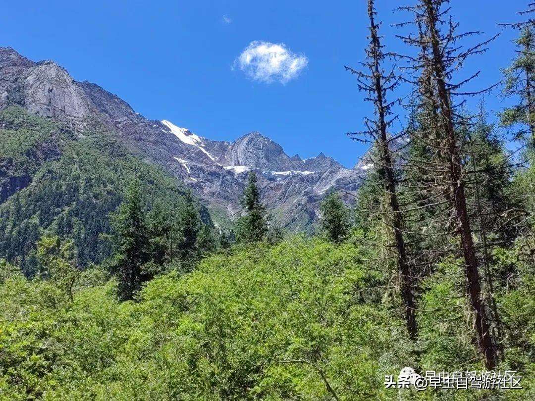 四姑娘山哪些景点必去（外地人旅游必看8月四姑娘山旅游攻略）