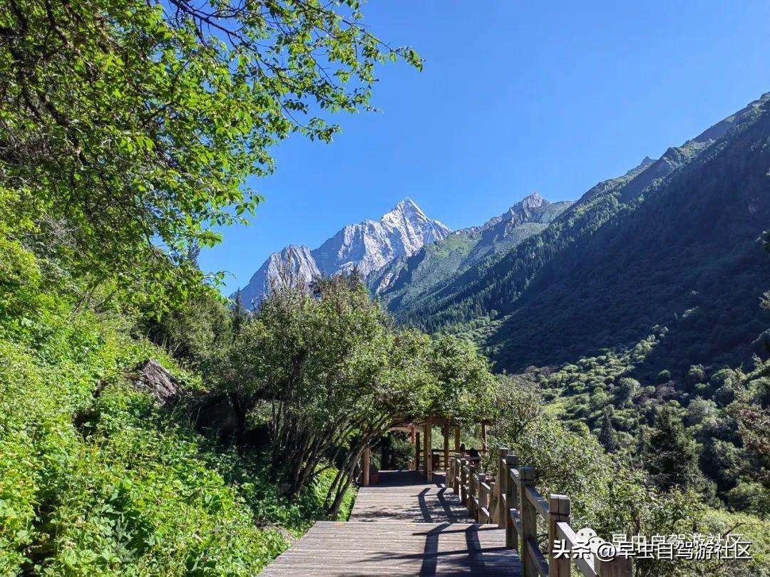 四姑娘山哪些景点必去（外地人旅游必看8月四姑娘山旅游攻略）