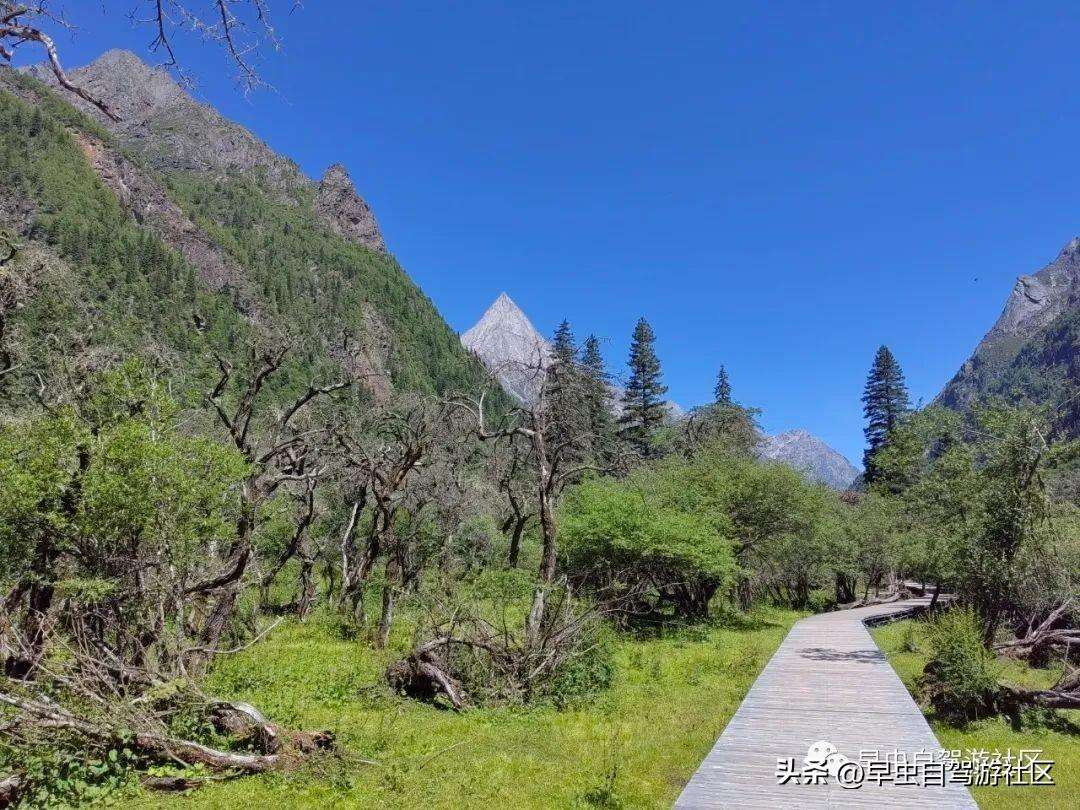 四姑娘山哪些景点必去（外地人旅游必看8月四姑娘山旅游攻略）