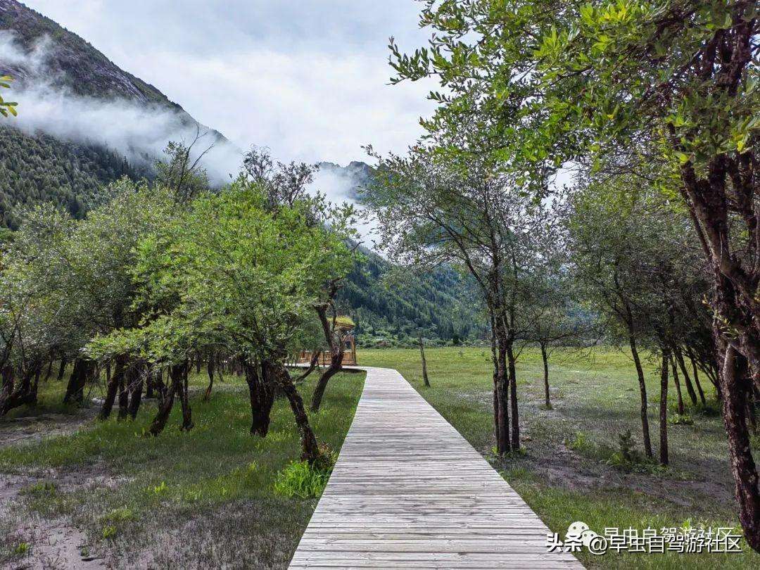 四姑娘山哪些景点必去（外地人旅游必看8月四姑娘山旅游攻略）