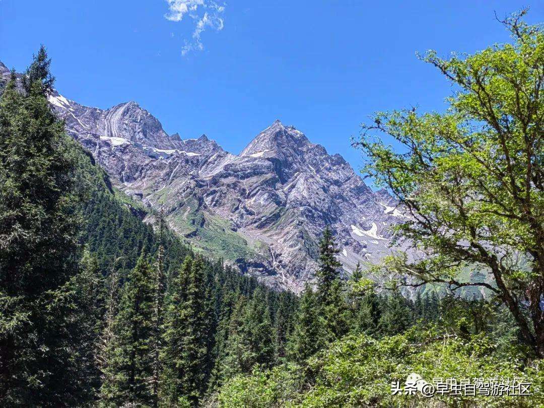 四姑娘山哪些景点必去（外地人旅游必看8月四姑娘山旅游攻略）