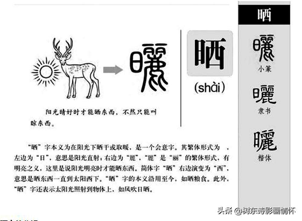 什么叫三天打鱼两天晒网什么意思（一文简述三天打鱼两天晒网的含义）