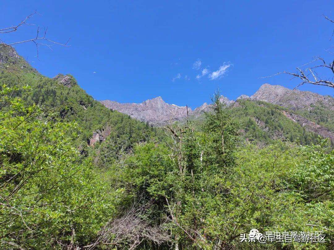 四姑娘山哪些景点必去（外地人旅游必看8月四姑娘山旅游攻略）