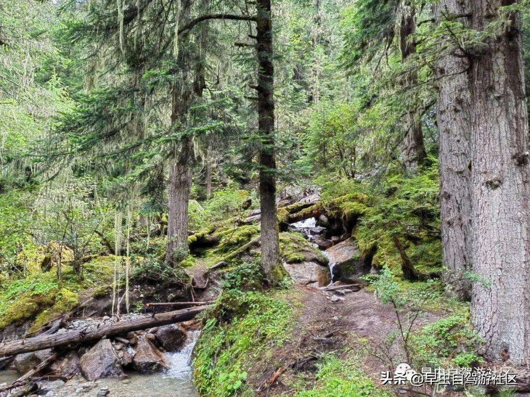 四姑娘山哪些景点必去（外地人旅游必看8月四姑娘山旅游攻略）