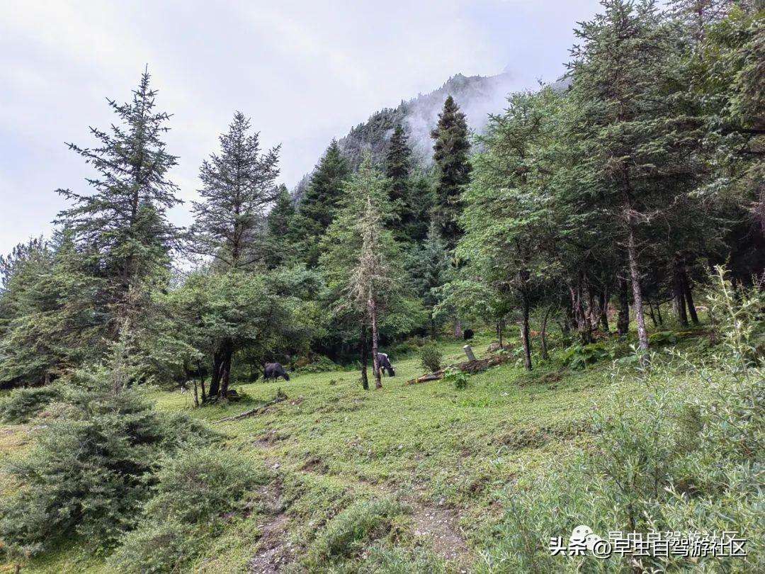 四姑娘山哪些景点必去（外地人旅游必看8月四姑娘山旅游攻略）