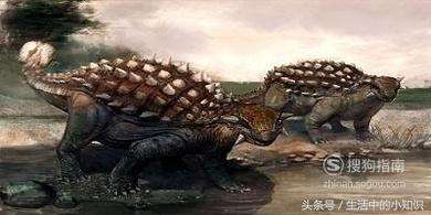 食草恐龙有多少种（一文了解早已灭绝的8种体型巨大的食草恐龙）