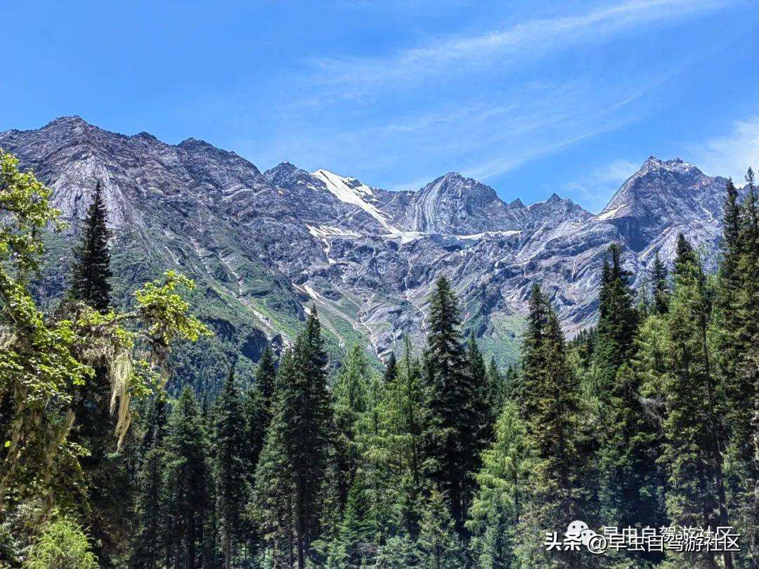 四姑娘山哪些景点必去（外地人旅游必看8月四姑娘山旅游攻略）