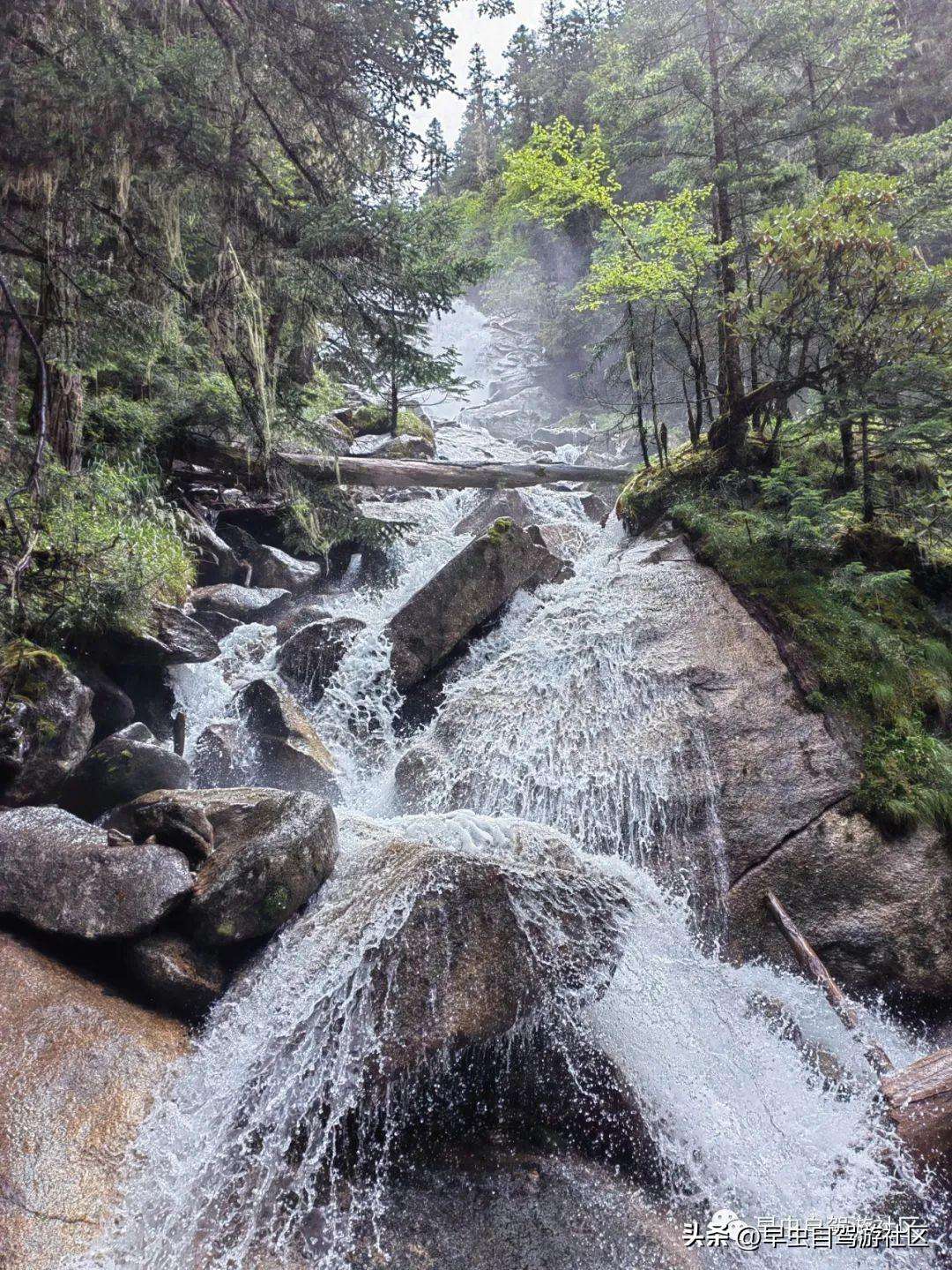 四姑娘山哪些景点必去（外地人旅游必看8月四姑娘山旅游攻略）