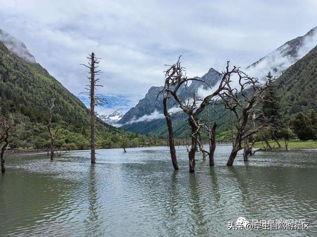 四姑娘山哪些景点必去（外地人旅游必看8月四姑娘山旅游攻略）