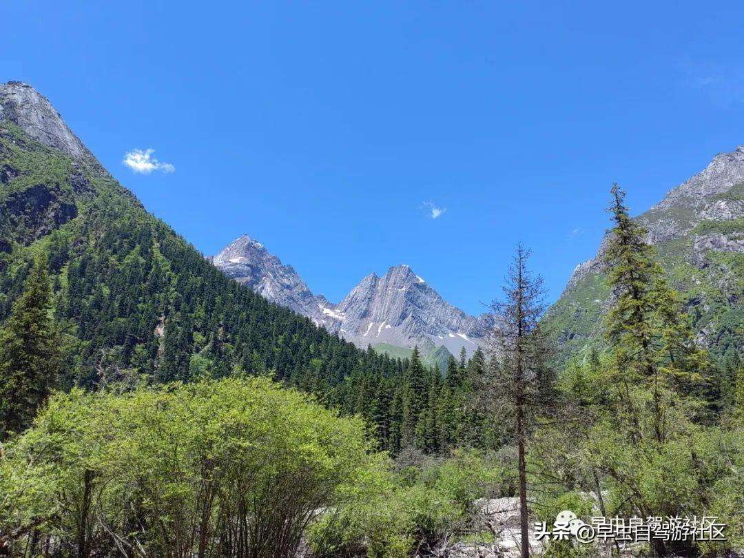 四姑娘山哪些景点必去（外地人旅游必看8月四姑娘山旅游攻略）