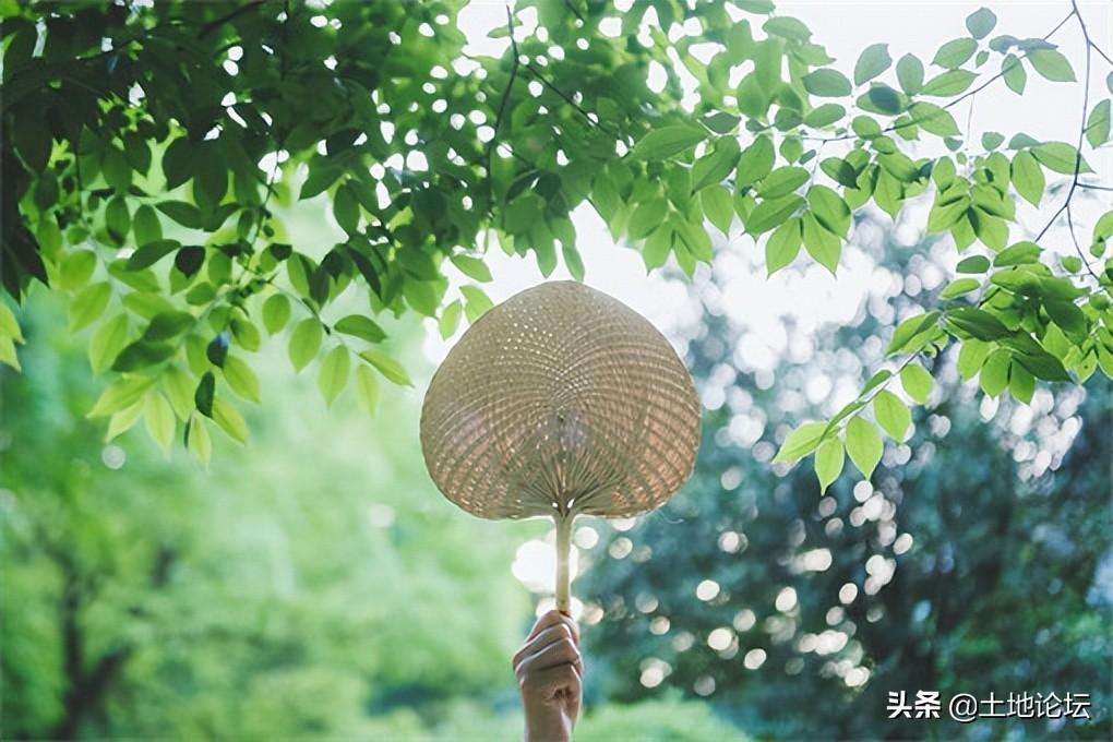 夏至和立夏是什么意思（一文分析夏至和立夏的4个区别）