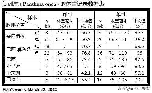 豹属动物有哪些种类（这5种豹属是大型猫科动物美洲豹体型最大）