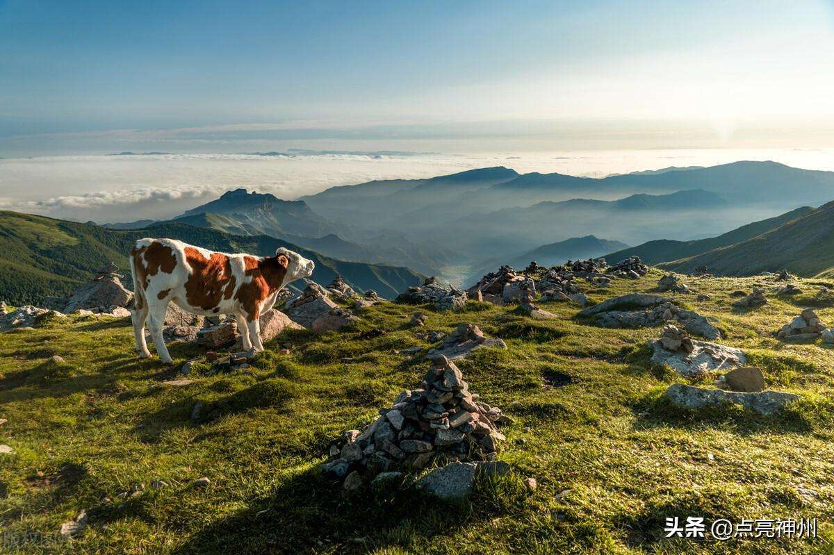 中国泰山海拔多少米（中国海拔3000米以上的10大名山介绍）