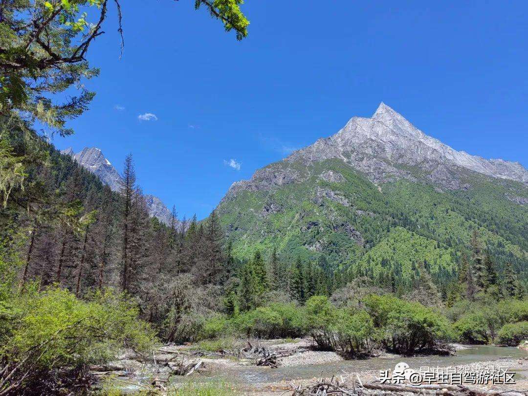 四姑娘山哪些景点必去（外地人旅游必看8月四姑娘山旅游攻略）