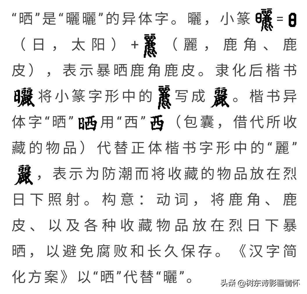 什么叫三天打鱼两天晒网什么意思（一文简述三天打鱼两天晒网的含义）