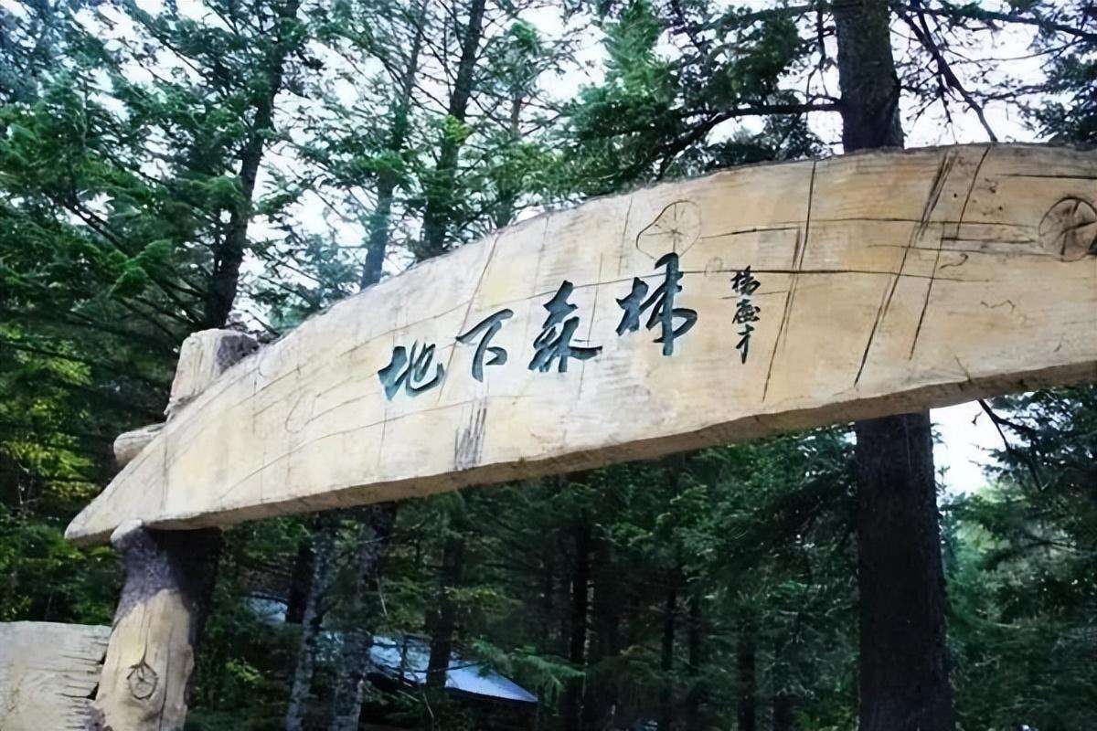 长白山自驾游攻略最佳线路（长白山10条精品旅游线路公布）