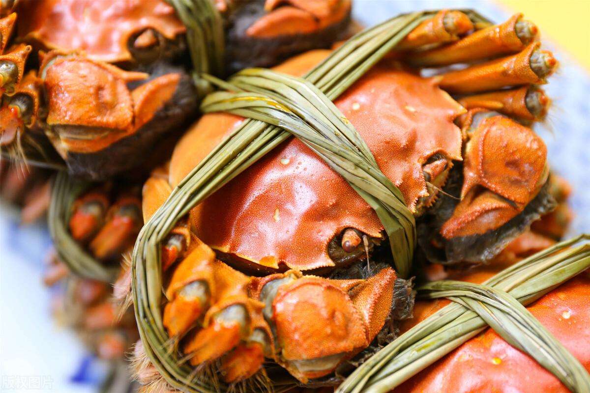 中国螃蟹产地哪里的最有名（驰名海外的中国的“10大螃蟹产地”介绍）