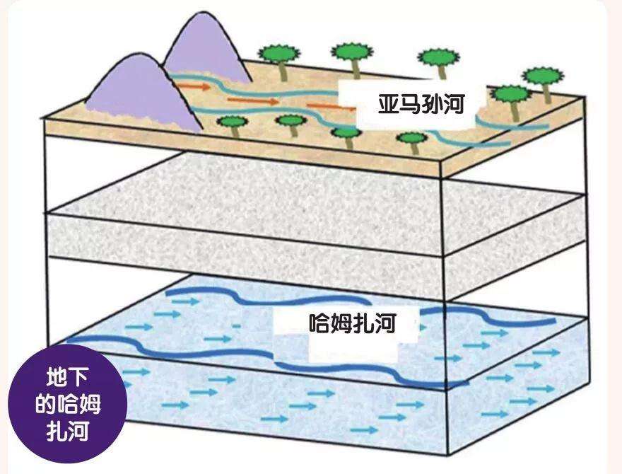 亚马逊河流向哪个大洋之中（揭秘你所不知道的亚马逊河）